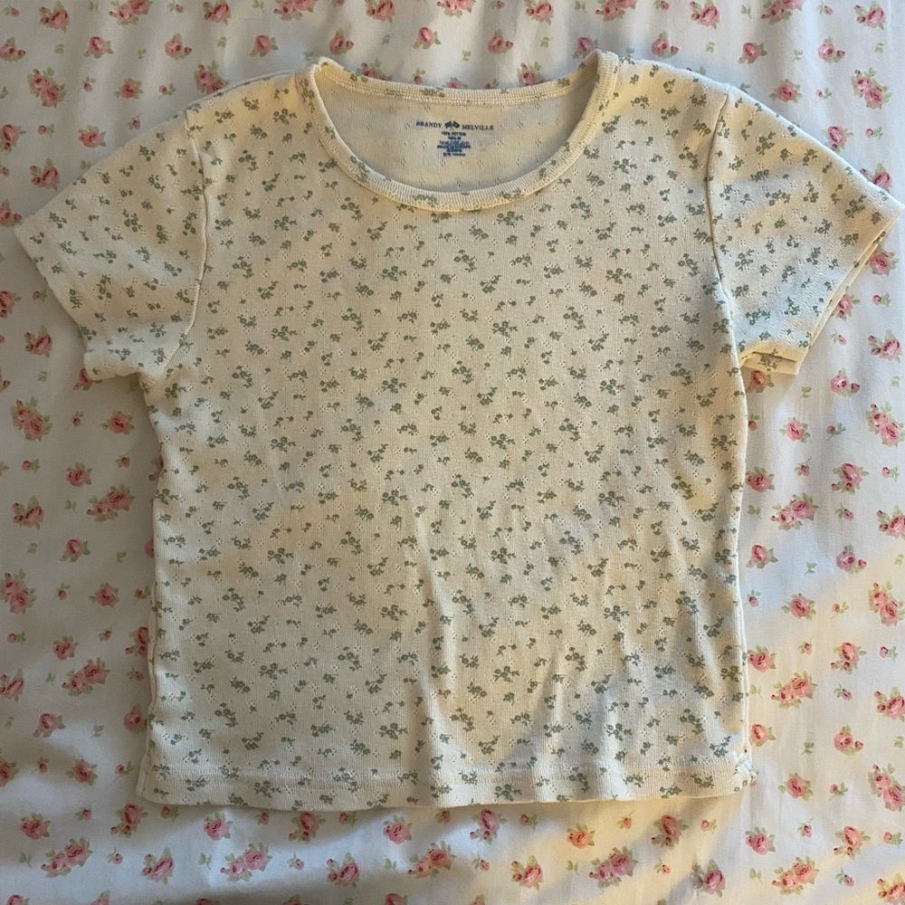 Brandy Melville/John Galt Ivory Crop Baby Tee with Sage Green Floral Pattern